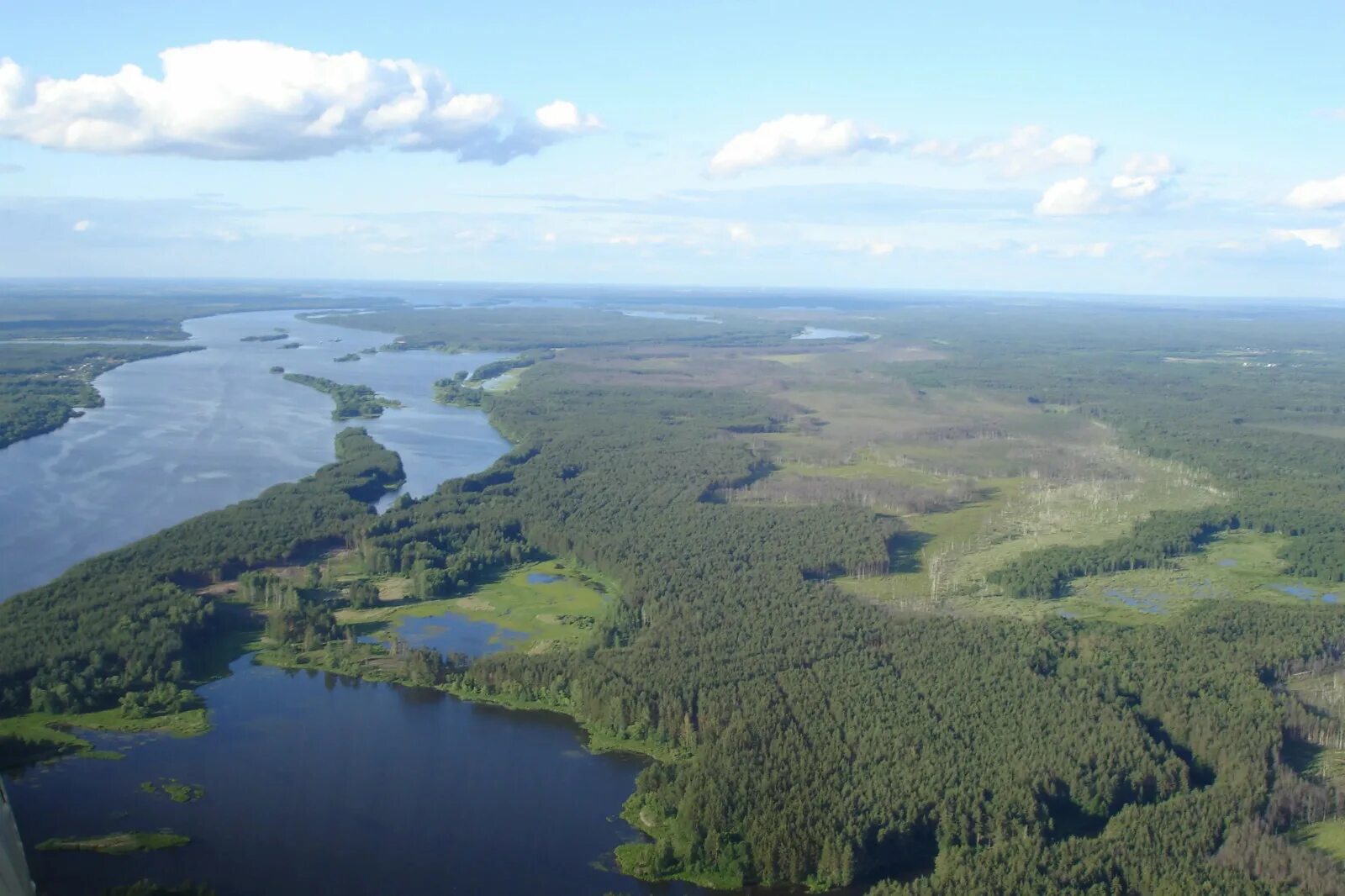 Река Волга в Нижегородской области. Равнинная река Волга. Волга на Восточно европейской равнине. Кривель Нижегородская область река Волга. Водные богатства нижегородской области