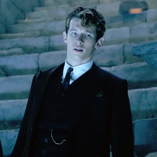 Pin by sell on Fantastic beasts Harry potter anime, Harry potter illustrations, 