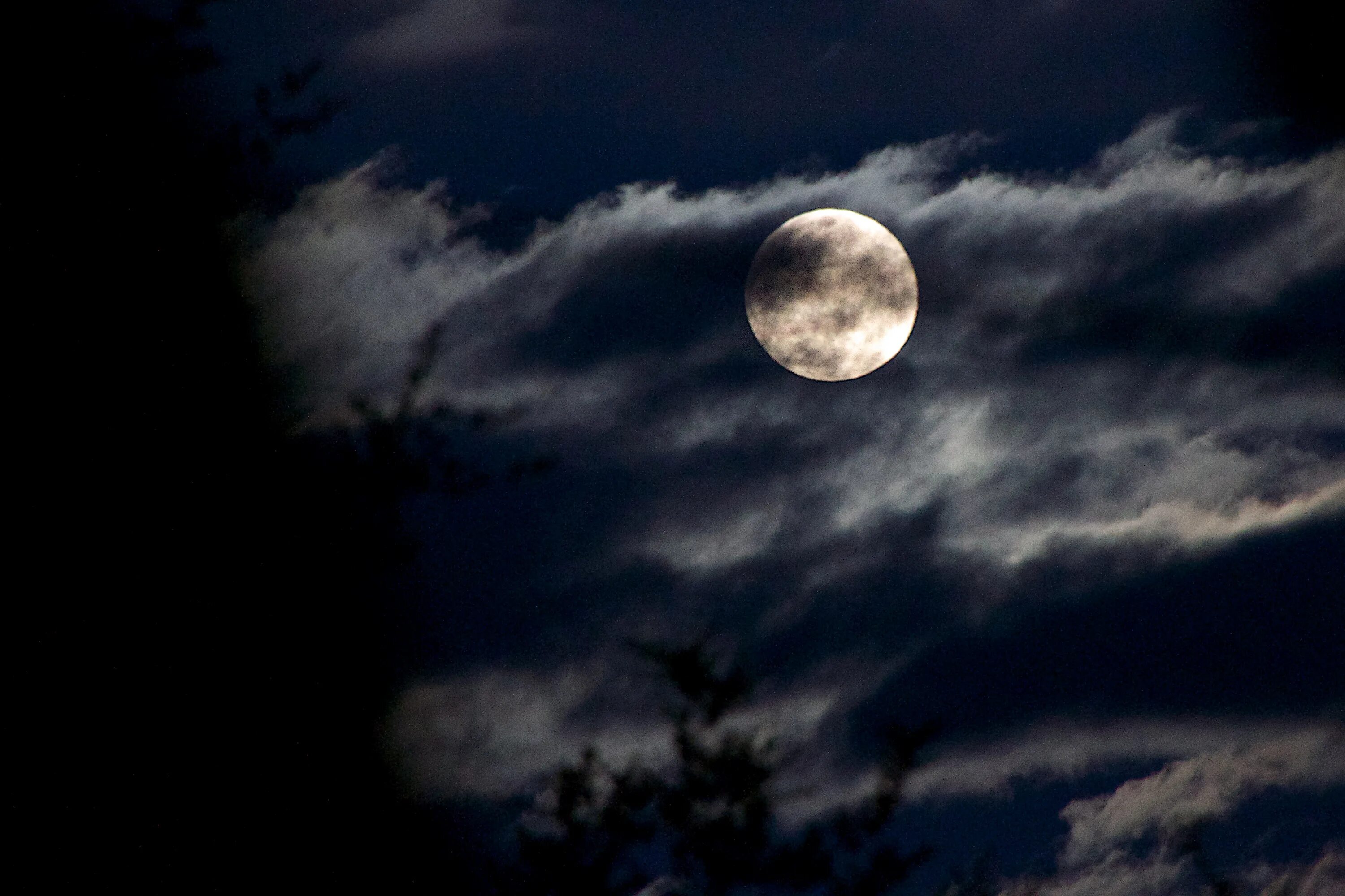 Луна бесплатное видео. Луна в Индии. Луна на черном небе. Фото Луны из Индии. Rising Moon.