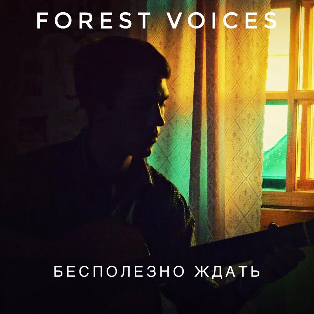 Бесполезно ждать Forest Voices. Картинки Forest Voice. Бесполезно ждать Forest Voices текст. Forest Voices группа. Музыку бесполезно