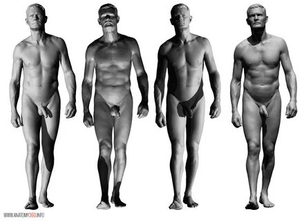 Тело Референс Фото.
