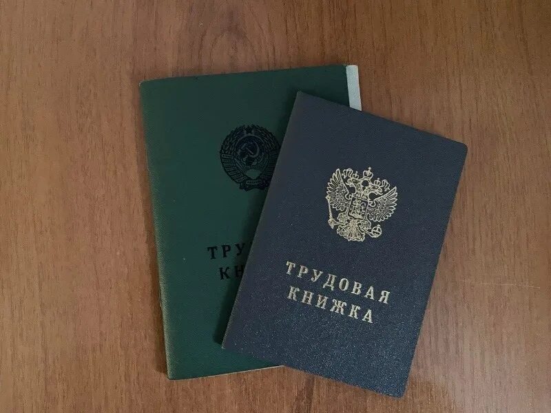 Трудовая книжка в руках. Трудовая книжка нового образца. Трудовая книжка нового образца. Труд книжка. Трудовая книжка.