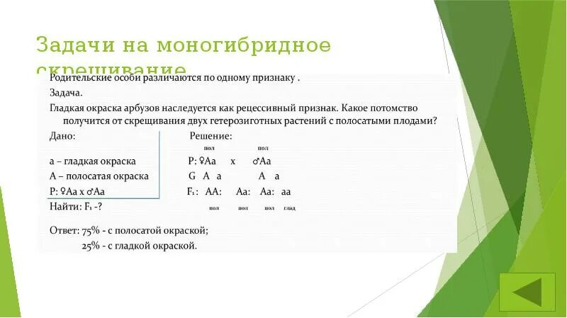 Решение задач по генетике 10 класс биология. Задачи по генетике на моногибридное скрещивание 9 класс. Задачи на генетику по биологии 10 класс моногибридное скрещивание. ЕГЭ генетические задачи моногибридное скрещивание. Генетические задачи по биологии 10 класс моногибридное скрещивание.