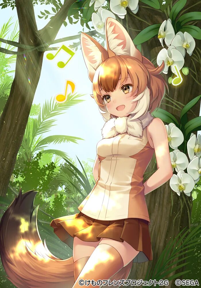 Kemono post. Ушастые друзья Kemono friends. Kemono friends Art. Kemono friends Dhole. Kemono friends лазурники.