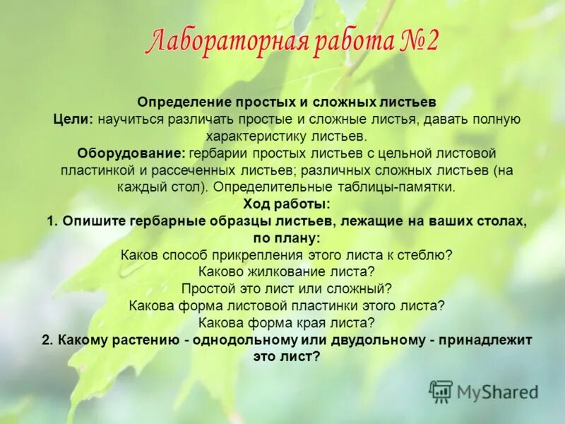 Предназначение. Судьба человека это определение. Жизненный опыт мудрость. Определение понятия жизнь биология. Эмансипация.
