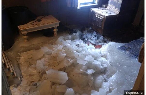 Затопленный дом. После потопа в квартире полезли насекомые. Затопило квартиру. После наводнения холодильник будет работать. Мужик прибивает море.