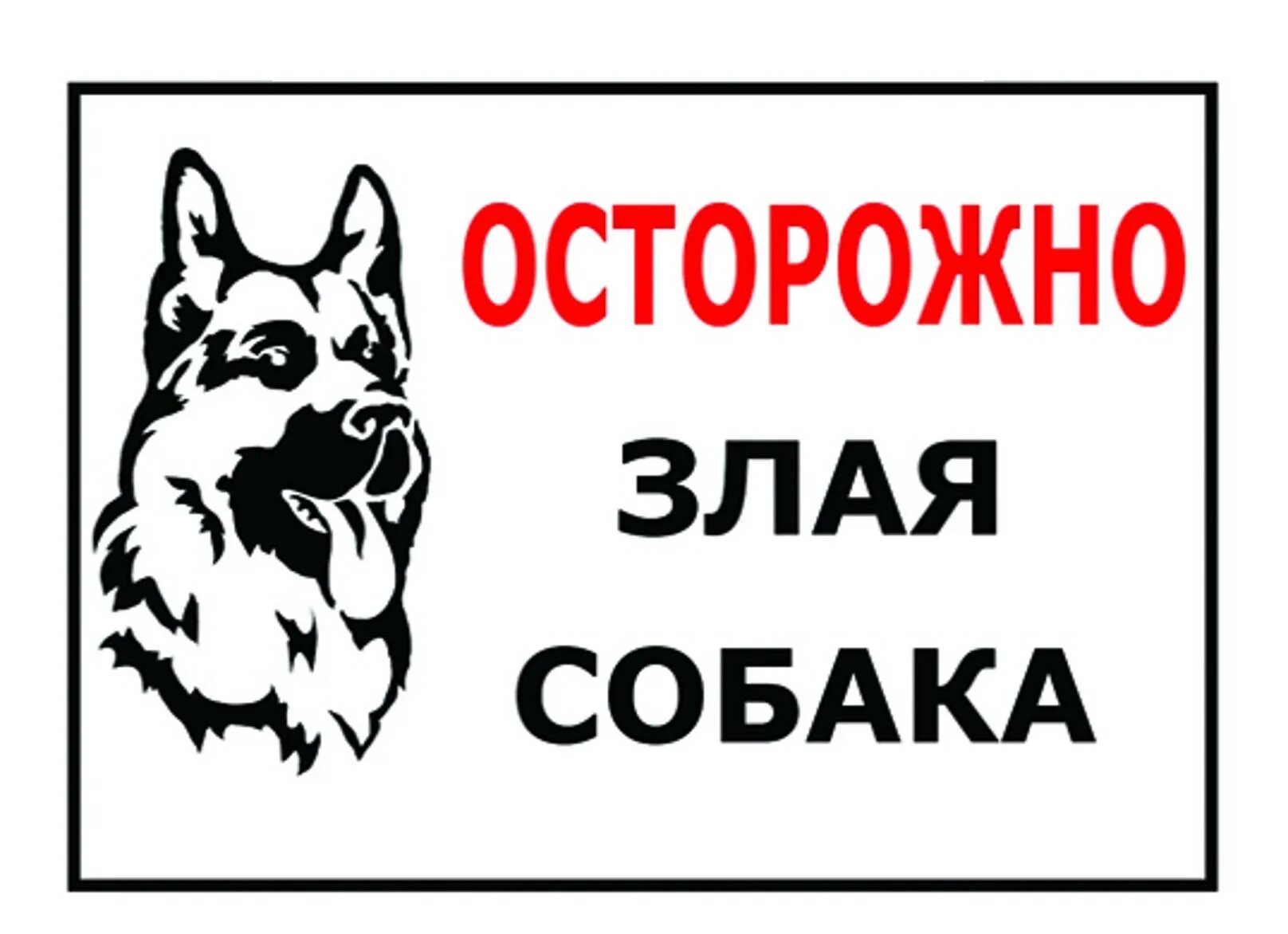 Табличка "злая собака". Осторожно, злая собака!. Табличка осторожно злая собака. Осторожно злая собака табличка овчарка.