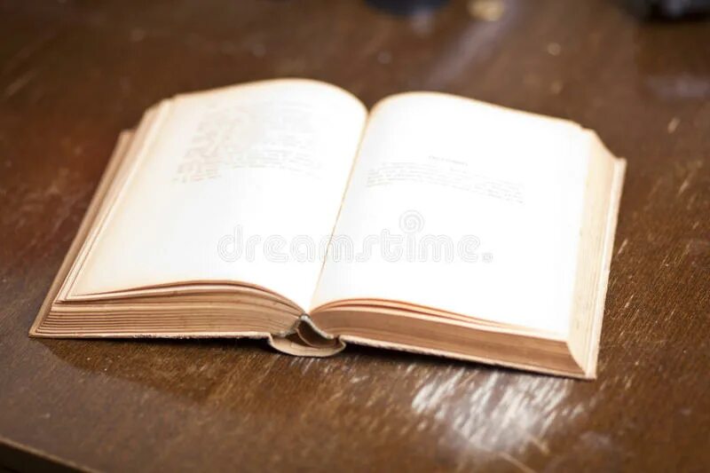Пустая книга. Книга с пустыми странпцмаи. Открытая Старая книга. Пустая книга фото.