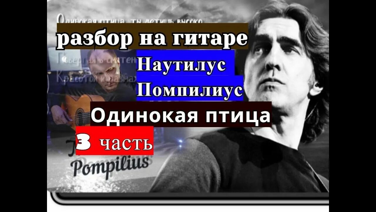 Наутилус Помпилиус одинокая птица. Одинокая птица на гитаре. Наутилус Помпилиус одинокая птица аккорды. Наутилус Крылья табы.