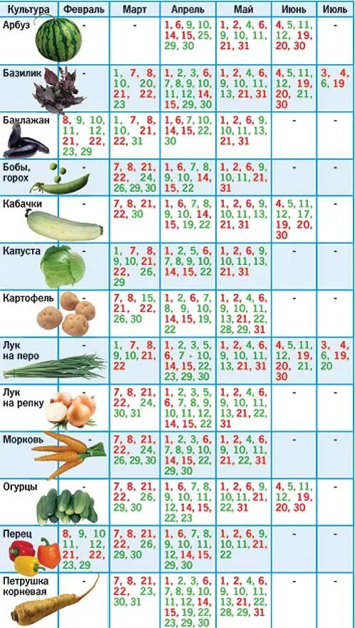 Какие семена надо сажать. График посева семян. Календарь посадки овощей. Таблица посева овощей. График посева на рассаду таблица.
