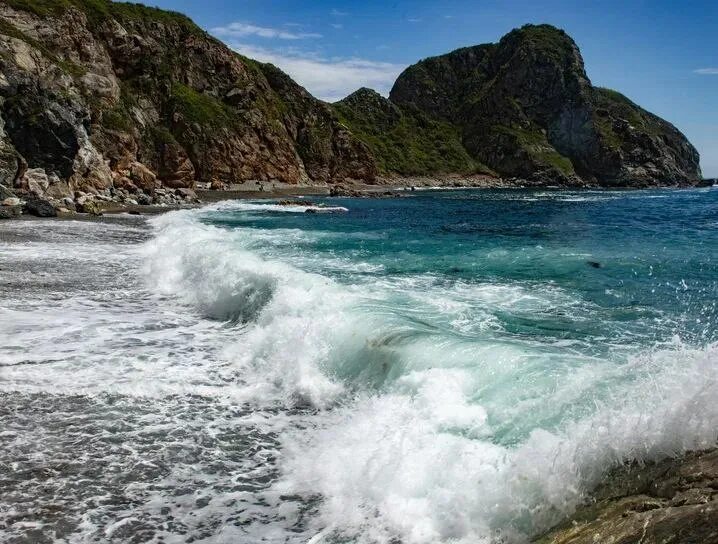 Движение приморье. Движение приморье. Движение приморье. Движение приморье. Движение приморье.