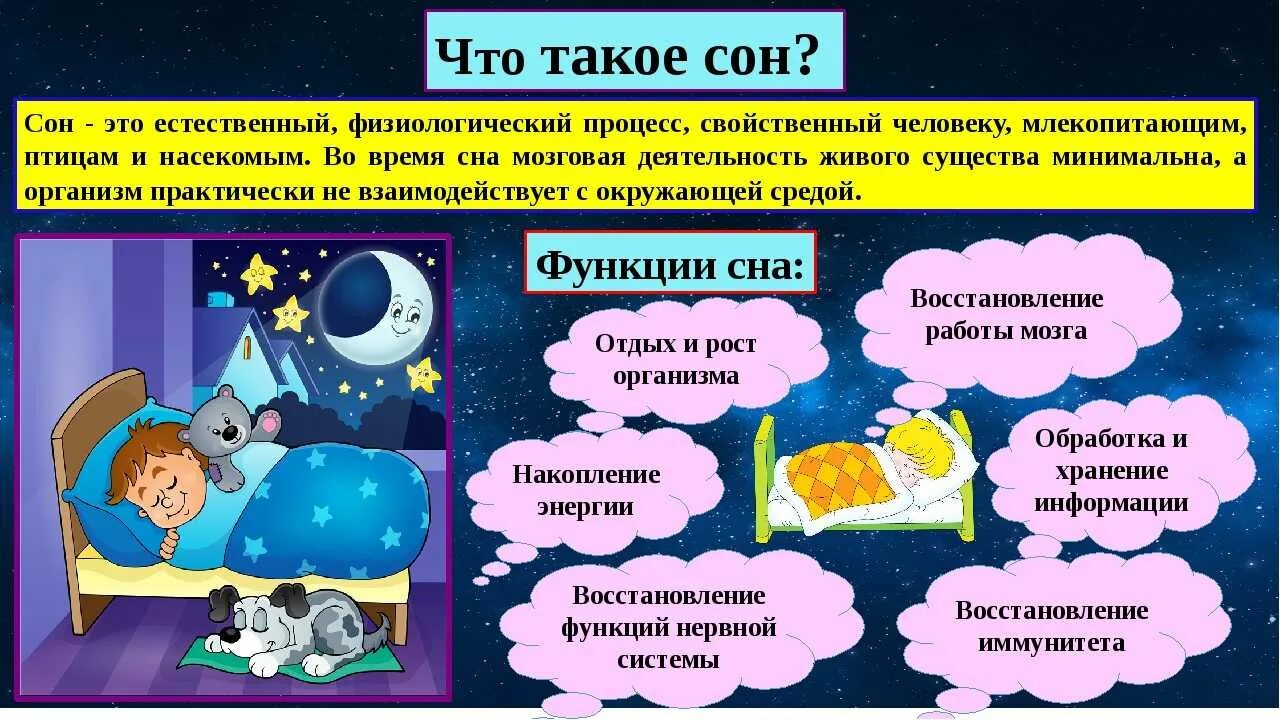 Человек объясняющий сны. Про сон. Сун. Сон для презентации. Сон это определение.