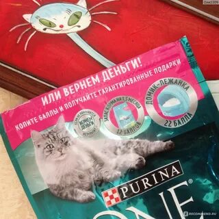 Purina one 3
