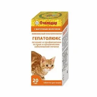 Для поддержания печени кошке