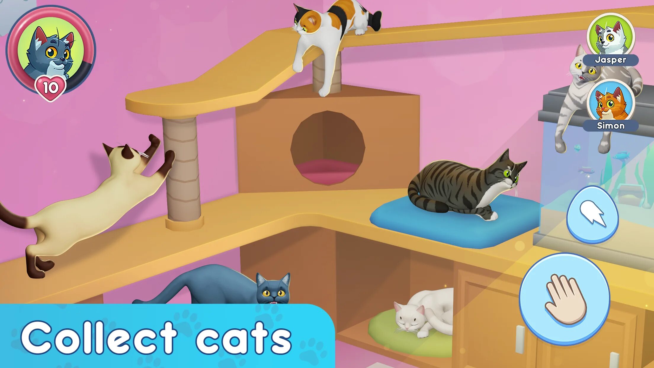 My pets cat simulator. My pets cat simulator