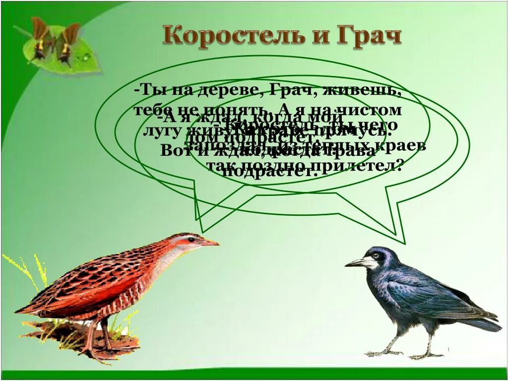 Коростель и Грач. Коростель на дереве. Рассказать о птице Коростель. Коростель склонение.