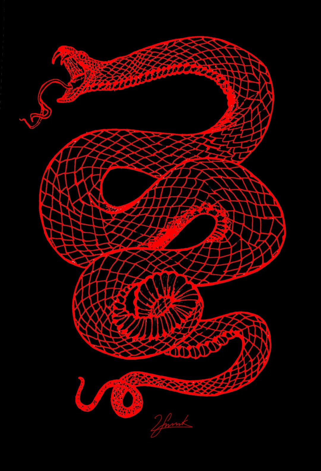 Snake x. Красные змеи. Змея на черном фоне. Красная змея на черном фоне. Красно черная змея.
