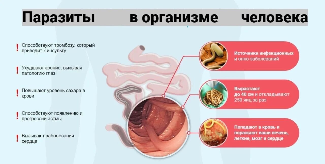 От каких заболеваний умирают. Заболевания вызванные гельмин. Заболевания при глистах.