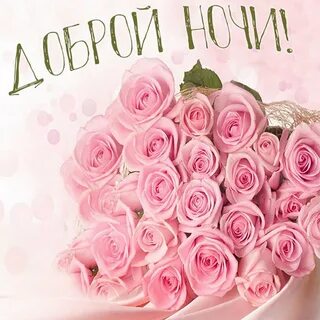 Открытка роза шикарная одна