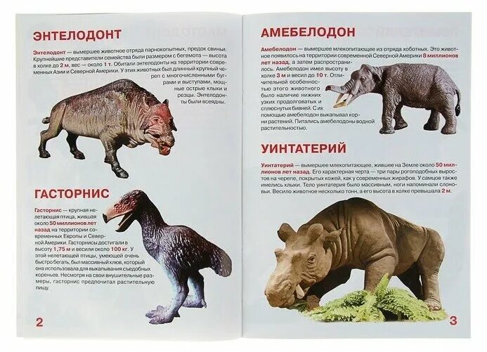 умка доисторические животные энциклопедия 293370. тернер а. динозавры и доисторические животные". энциклопедия доисторические животные. книга про динозавров для детей.