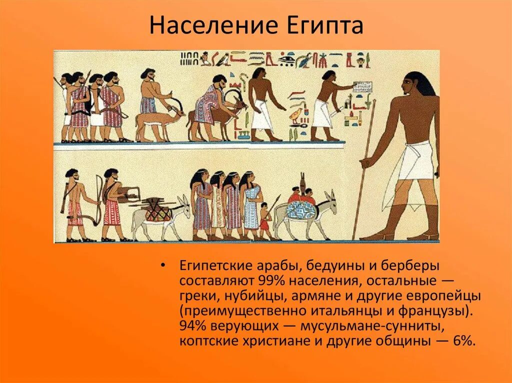 Население древних стран. Основные занятия жителей древнего Египта 5 класс. Население древнего Египта. Занятия древнего египтяна. Древние жители Египта.