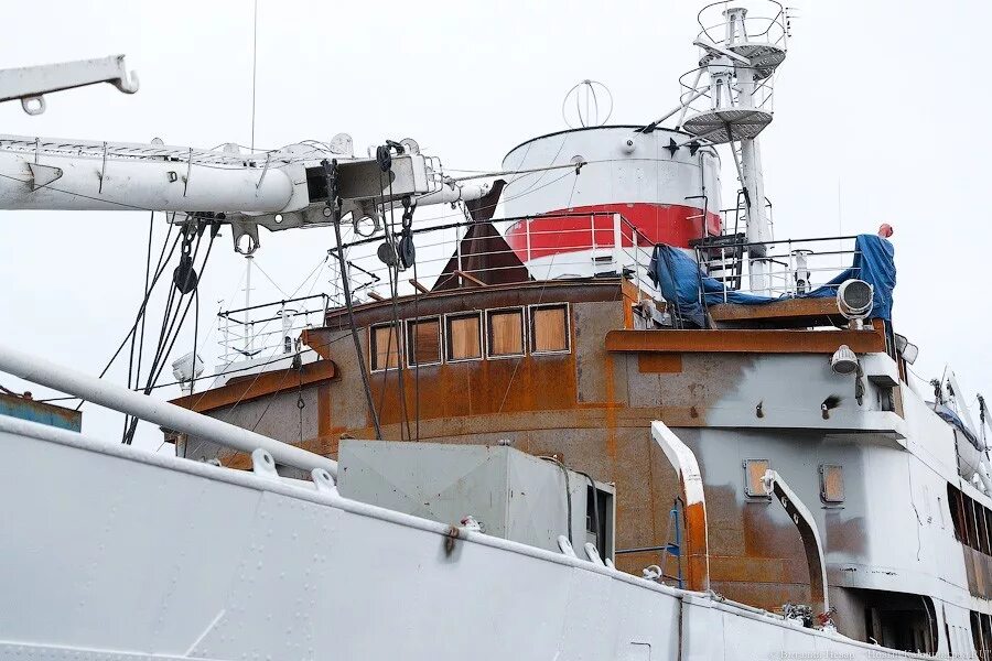 Какое значение получили на судне витязь. Какое значение получили на судне витязь
