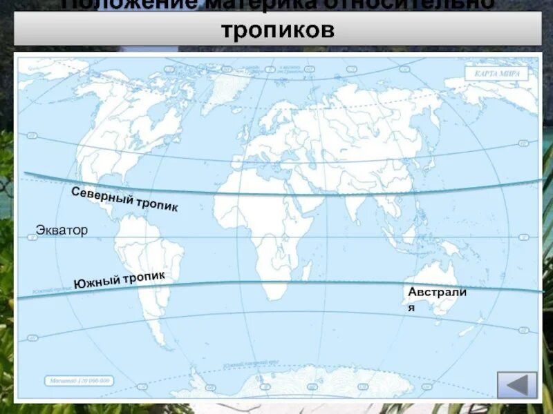 Как расположен южный океан относительно тропиков. Расположение материка относительно экватора. положение материка относительно экватора. экватор австралии. австралия относительно экватора.
