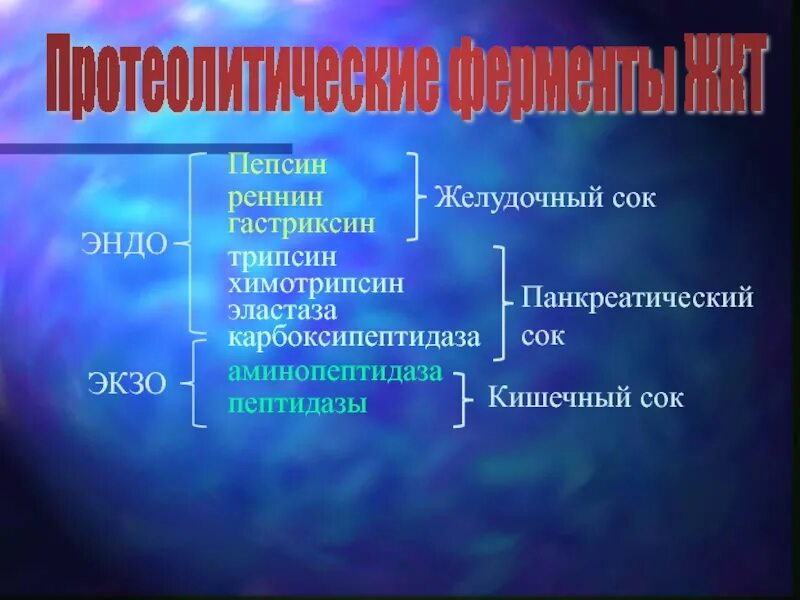 Пепсин углеводы. Пепсин трипсин химотрипсин. пепсин → трипсин → (химотрипсин, эластаза, карбоксипептидаза). пепсин трипсин химотрипсин эластаза. пепсин и гастриксин.