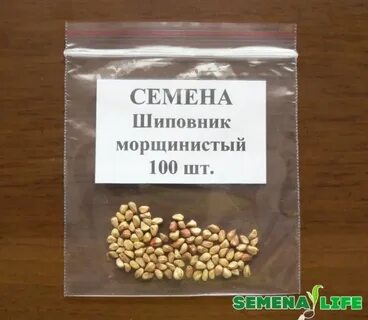 Семена шиповника