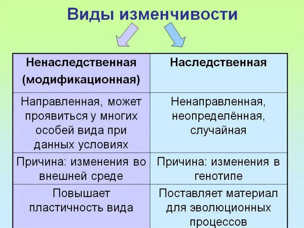 Типы модификационной изменчивости. Причины изменчивости ненаследственной изменчивости. ВИДЫВИДЫ изменчивости. Виды наследственной изменчивости.