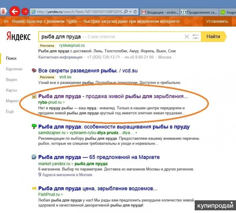 Поисковое продвижение сайта в яндексе заказать. Найти по фото в Яндексе рыбку.