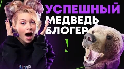 Блоггер медведь