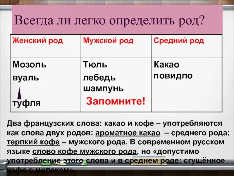 Новый год какого рода. Род слова. Мозоль какого рода в русском языке. Тюль род существительного. Род имен существительных тюль.