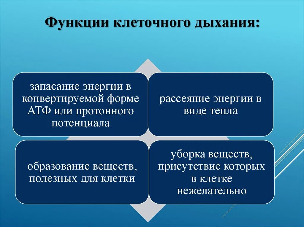 Альтернативные функции клеточного дыхания. Функция дыхания клетки. Функции клеточноготдыхания. Функции клеточного дыхания. Вдох функции