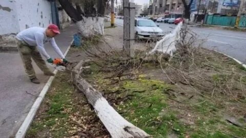 Тараз буря