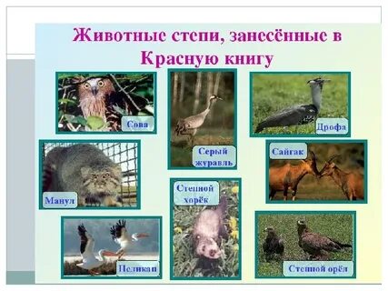 Красная книга природных зон