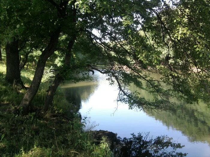 Водокачка Верещагино. Пруд водокачка. Урочище лбы Антрацитовский район. Ивановка Антрацитовский район.