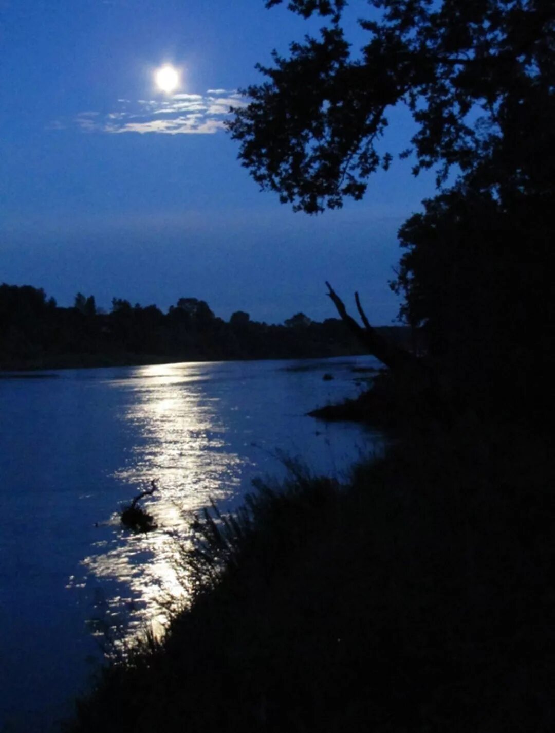 Река смотрящие лун. Река ночью. Речка ночью. Ночь Луна река. Ночное озеро.