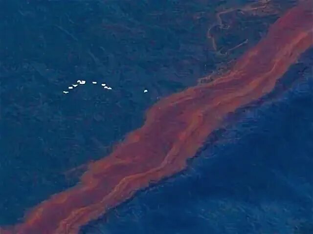 Разлив нефти в мексиканском заливе 2010
