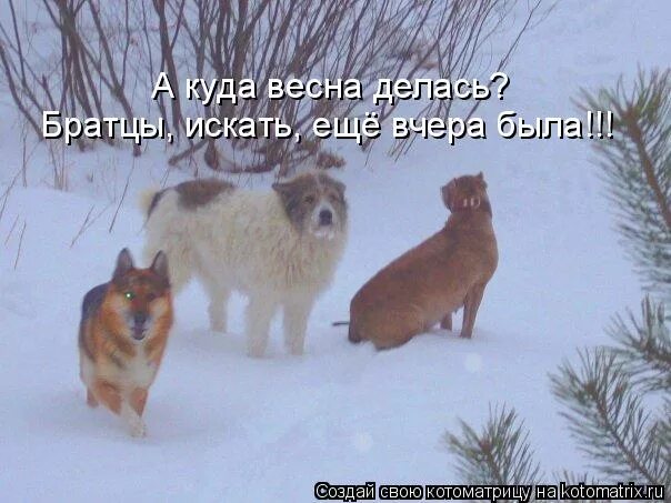 куда пропали зимы