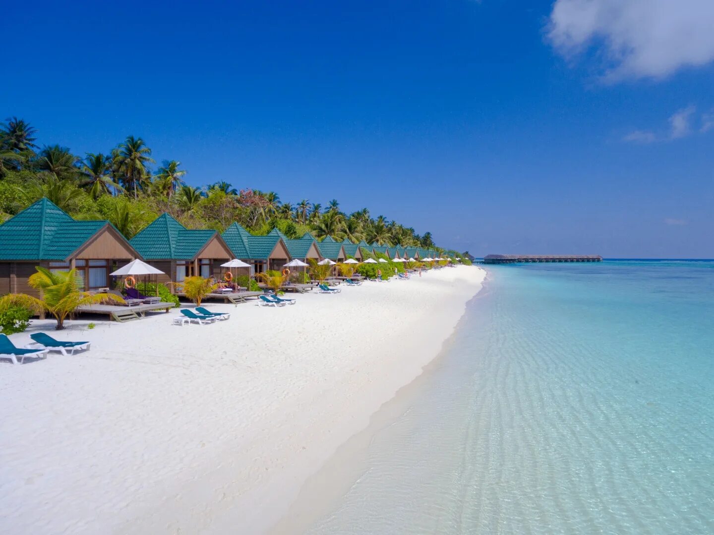 Selected island. Мальдивы Meeru Island. Отель Мееру Исланд Мальдивы. Meeru Island Resort Spa 4. Мейру ислонд ресор Мальдивы.