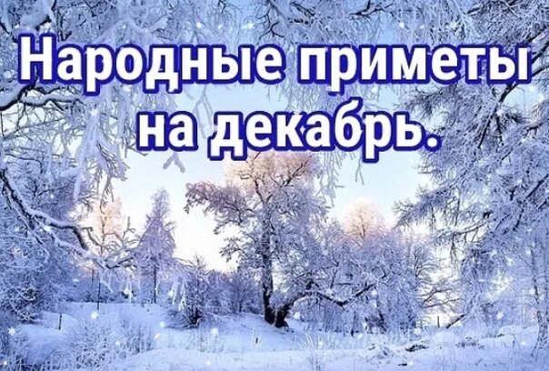 Погода декабрь приметы. Народные приметы декабря. Декабрьские приметы. Месяцеслов декабрь народные приметы. Народный календарь зимние приметы.