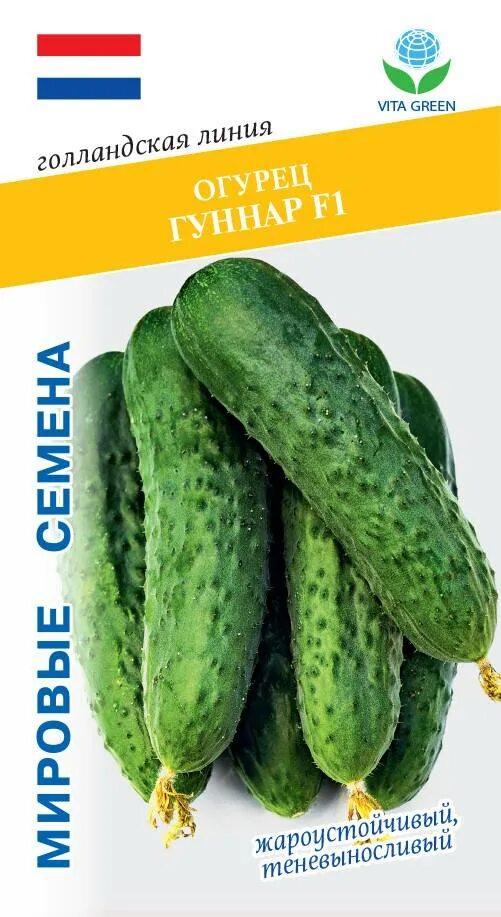 Гуннар сорт огурцов. Огурец гуннар f1. огурец гуннар голландские семена. огурец гуннар f1 описание. огурец (гавриш) гуннар.