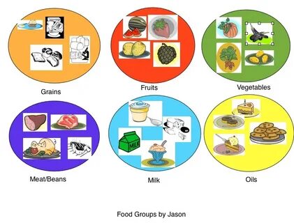 Dairy meat fruit vegetable