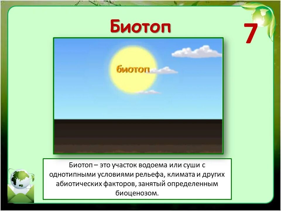 Декоративный пруд с биоплато. Биоценоз озера таблица. Бетонный пруд с биоплато. Биотоп примеры в экологии. Биотоп степи.