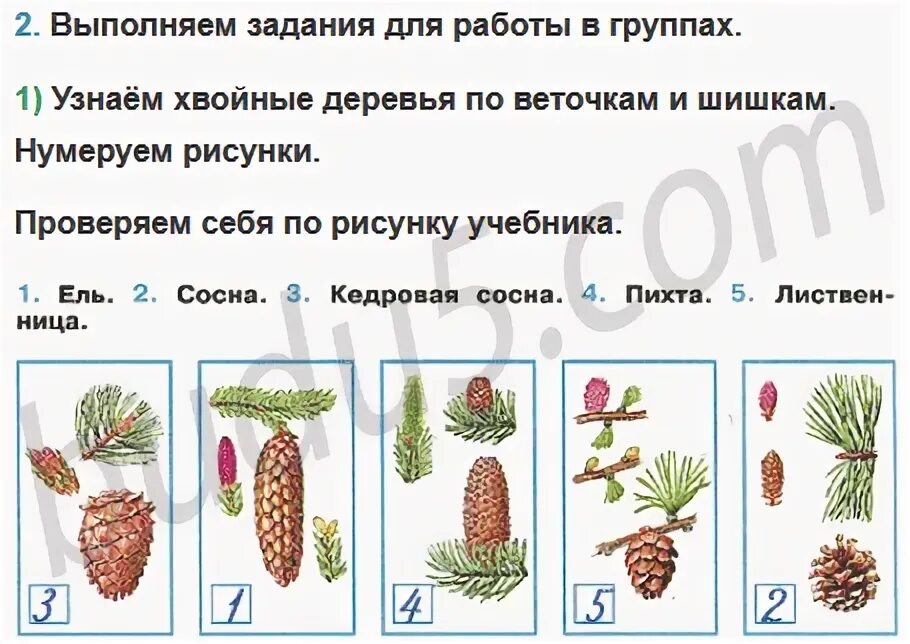 Домашние задания окружающий мир 4 класс. Проверочные по окружающему миру 4 класс плешаков. Домашние задания окружающий мир 4 класс. Домашние задания окружающий мир 4 класс. Куликовская битва 4 класс окружающий мир рабочая тетрадь.
