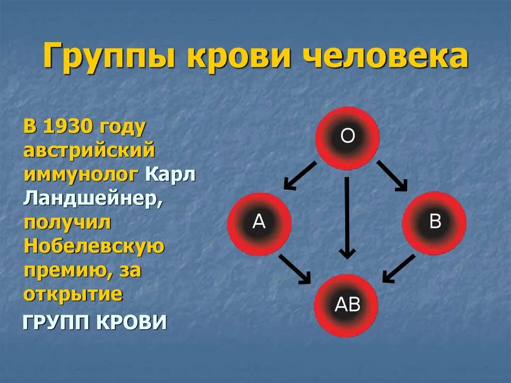5 положительная группа