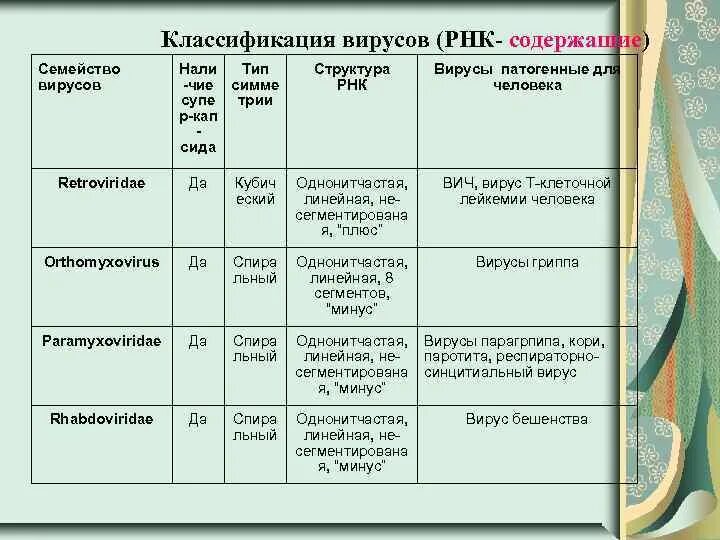 Какой вирус содержит рнк. Классификация РНК вирусов. Классификация вирусов семейства. Семейства вирусов таблица. РНК содержащие вирусы.