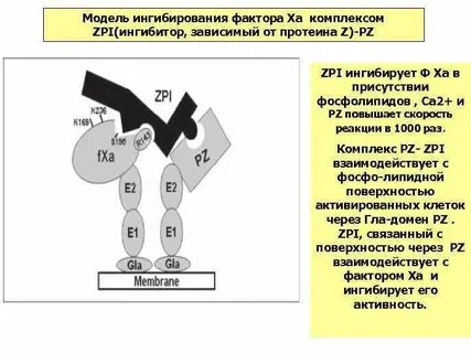 Ингибитор фактора