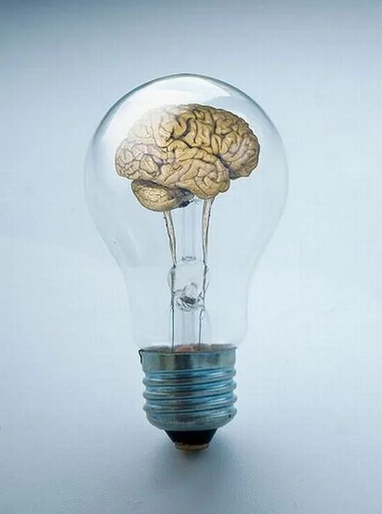 Включи лампа 10. Прикольная лампочка. Мозг прикол. Включи мозг. Смешная лампа.